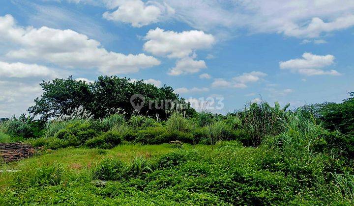 Tanah Murah Cocok Utk Gudang Dan Tempat Usaha Di Raya Krian Sda  1