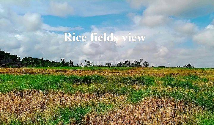 Tanah Murah Zona Kuning Cocok Utk Villa Dg View Sawah Di Area Canggu Bali  2