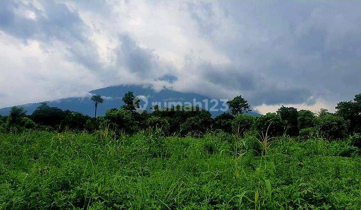 Tanah Murah View Gunung Dan Laut Di Tulamben Karang Asem Bali Cocok Untuk Villa Resort Dan Hotel 1