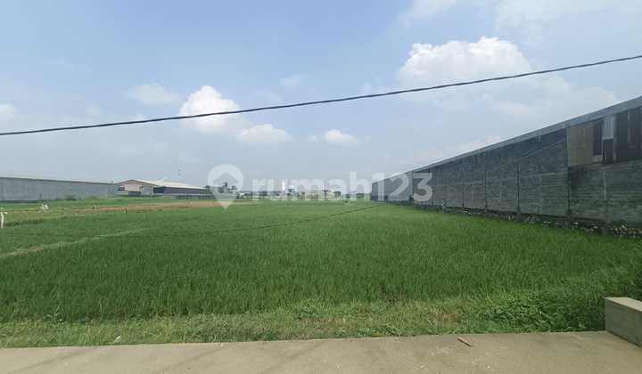 Tanah Murah Kawasan Pabrik & Pergudangan Jl Raya Akses Kontainer Wringinanom