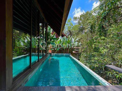 Investasi Rumah Villa Keren View Hutan Baru Gress Di Ubud Bali 1