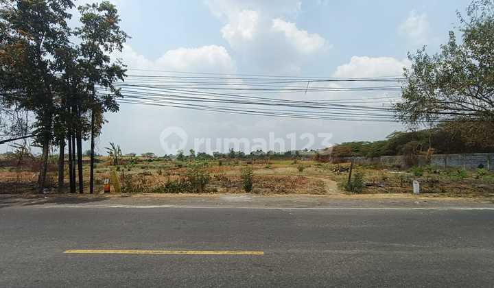 Tanah Strategis Cocok Utk Pabrik Gudang Di Jl Raya Cerme Dkt Tol Dan Sby 1