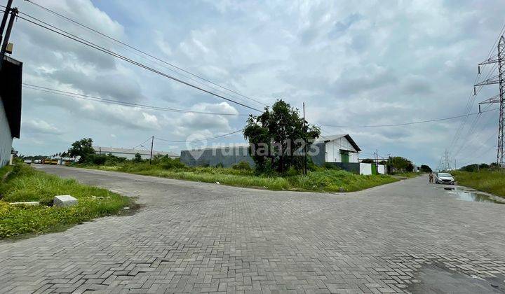 Tanah Murah Komplek Gudang Bumi Maspion Romokalisari Bemowo Dekat Margomulyo 1