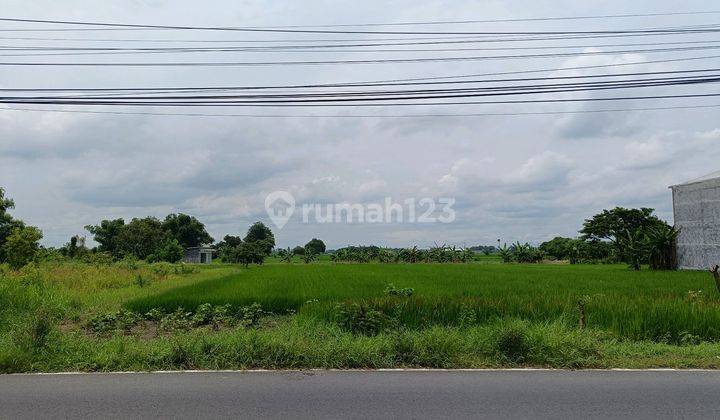 Tanah Murah Cocok Untuk Gudang Pabrik Jl Raya Provinsi Balongpanggang Dekat Mojokerto Dan Surabaya 2