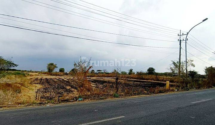 Stok Murah Tanah Industri Raya Cerme Gresik Strategis Dekat Surabaya Dan Tol Cocok Untuk Gudang Dan Pabrik 2