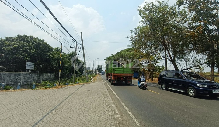 Tanah Strategis Cocok Utk Pabrik Gudang Di Jl Raya Cerme Dkt Tol Dan Sby 2