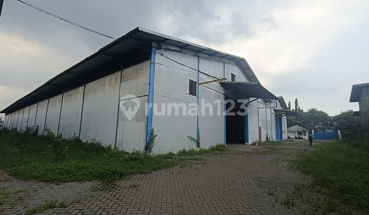 New Warehouse with Loading Dock on Gempol Provincial Main Road Near Toll New Warehouse with Loading Dock on Gempol Provincial Main Road Near Toll