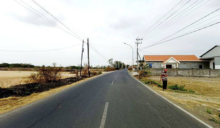 Tanah Kawasan Industri Raya Cerme Gresik Dekat Surabaya Dan Tol  2