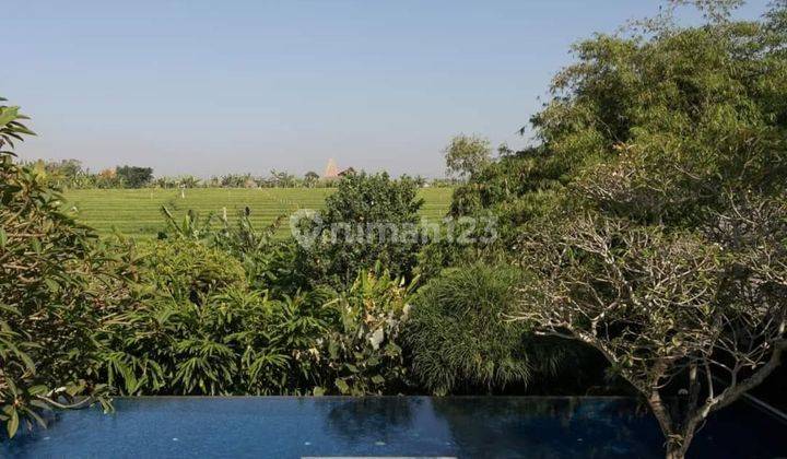 Villa Aestetik Mewah Dengan Gaya Natural Di Pererenan Canggu Bali 2