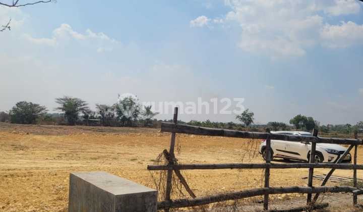 Cheap Shm Land Suitable for Warehouse Jl Raya Balongpanggang Gresik Cheap Shm Land Suitable for Warehouse Jl Raya Balongpanggang Gresik