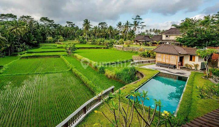 Cheap Villa Unique Design And Beautiful View Of Mountains And Rice Fields In Ubud 2