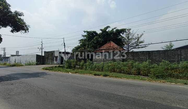 Tanah Siap Huni Sudah Urug Tinggi Dan Berpagar Cocok Utk Pabrik Gudang Di Kawasan Industri Mojoagung Jombang Tanah Siap Huni Sudah Urug Tinggi Dan Berpagar Cocok Utk Pabrik Gudang Di Kawasan Industri Mojoagung Jombang