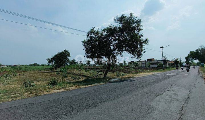 Tanah Murah Nol Jl Raya Provinsi Area Mantup Lamongan Dan Balongpanggang Cocok Utk Gudang Dan Perumahan  2