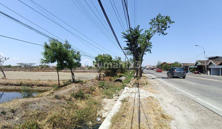 Tanah Murah Nol Jl Raya Provinsi Dekat Kota Gresik Dan Tol Cocok Untuk Pabtik Gudang Dan Trmpat Usaha  1