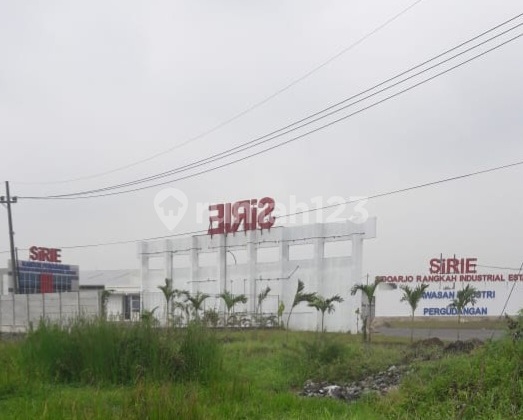 Murqh Land East Ring Road Sda Near Sirie Warehouse Murqh Land East Ring Road Sda Near Sirie Warehouse