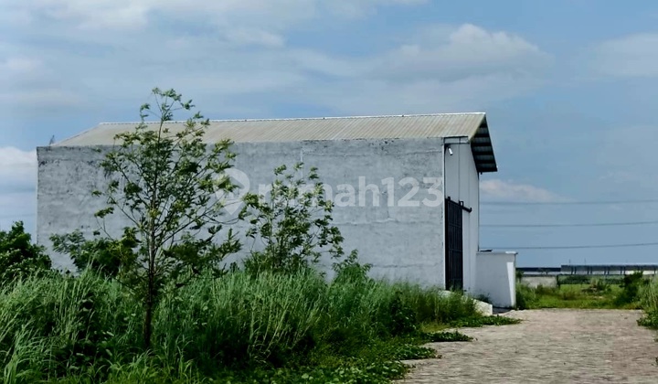 Gudang Baru Gress Shm Bisa Kpr Akses Kontainer Di Wonoayu Sda 