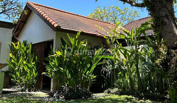 Villa Murah Di Jantung Utama Sanur Bali Dekat Pantai 2