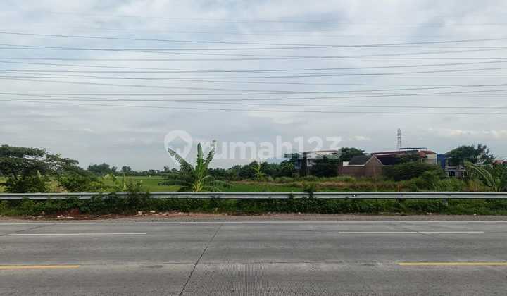 Tanah SHM Murah Lebar 37 Kawasan Industri Pabrik Gudang Jl Raya Bypass Mojokerto Dekat Tol Tanah SHM Murah Lebar 37 Kawasan Industri Pabrik Gudang Jl Raya Bypass Mojokerto Dekat Tol