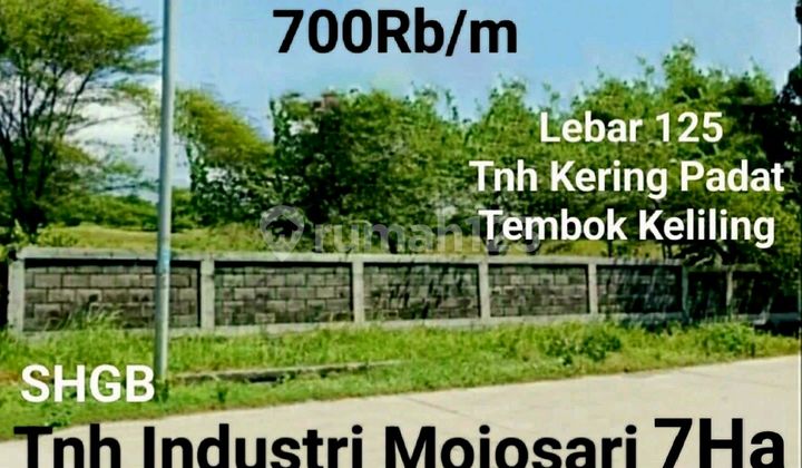 Tanah Murah Mojosari Mojokerto Dekat Krian Cocok Utk Gudang