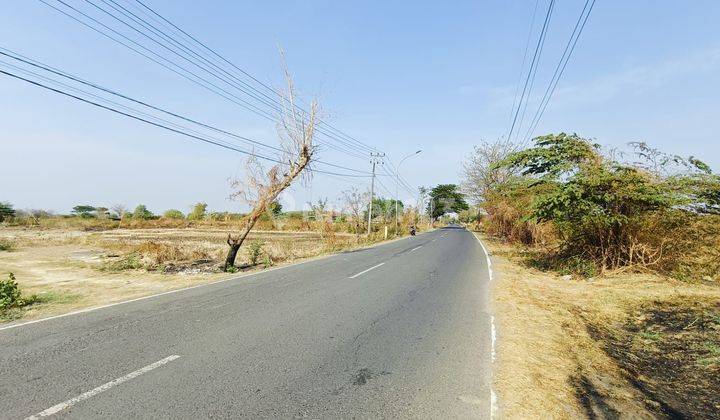 Tanah Murah Strategis Raya Benjeng Area Industri Dejat Til Cerme Cocok Utk Pabrik Gudang 2