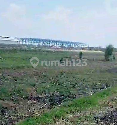 Tanah Industri Murah Di Wringinanom Gresik Ada Pipa Gas Pgn Dan Sungai Cocok Untuk Pabrik Gudang 2