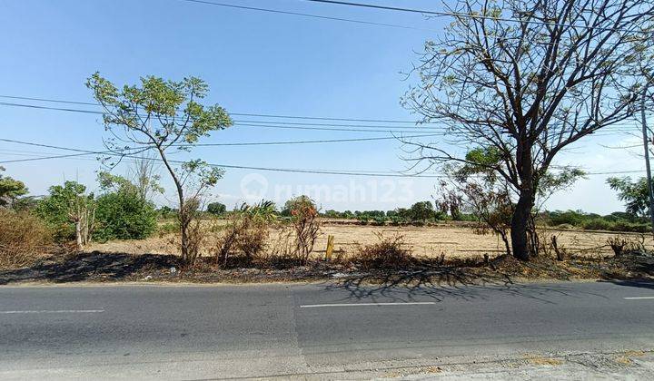 Tanah Murah Kawasan Industri Jln Raya Benjeng Cocok Utk Pabrik Gudang Dekat Surabaya 1