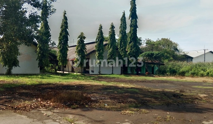 Cheap Warehouse, Good Building, Driyorejo Gresik, Near Toll Road Cheap Warehouse, Good Building, Driyorejo Gresik, Near Toll Road