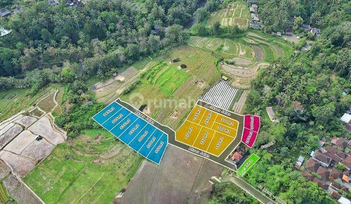 Tanah Shm Murah Siap Bangun Di Ubud Dg View Sawah Terasering 1