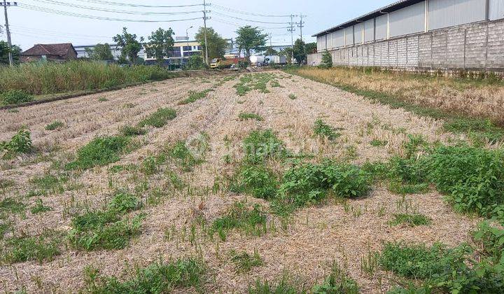 Tanah Murah Kawasan Industri Jl Raya Besar Area Ngoro Mojokerto  2