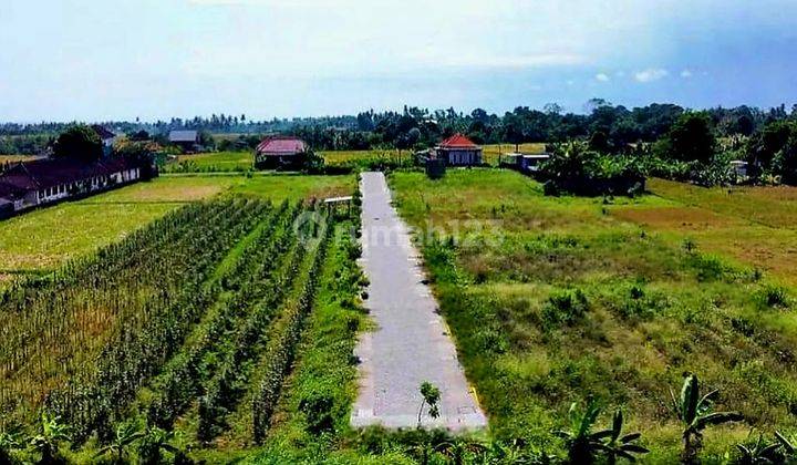 Tanah Murah Di Area Canggu Dekat Jln Utama Pantai Kedungu Bali 2