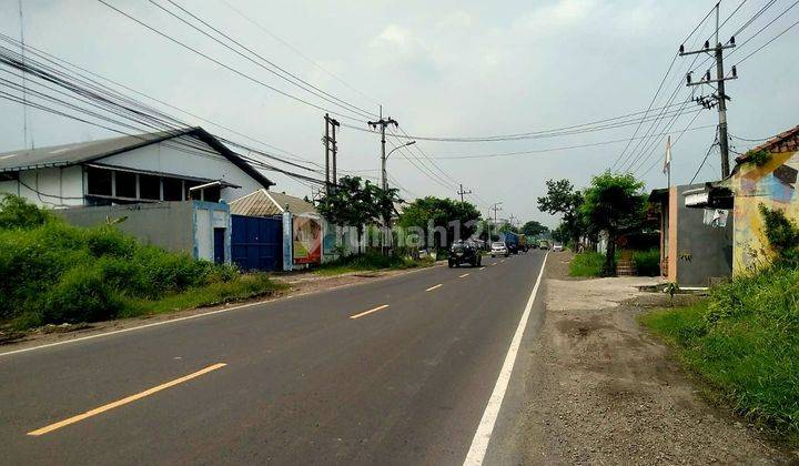 Tanah Murah Dekat Tol Kedamean Strategia Nol Jl Raya Cocok Utk Ruko Usaha Gudang Pabrik  2