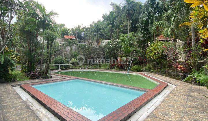 Rumah Villa Murah Dg View Alam Di Pandaan Nol Posisi Jl Raya Dekat Tempat Wisata 2