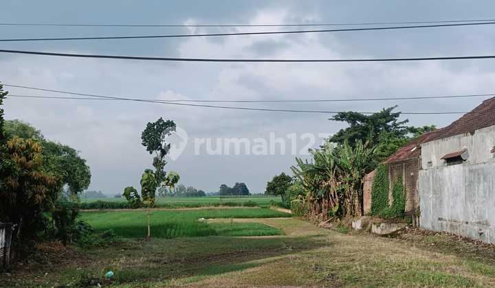 Tanah Murah Jl Raya Provinsi Sby Mjk Jombang Cocok Utk Tempat Usaha, Pabrik & Gudang