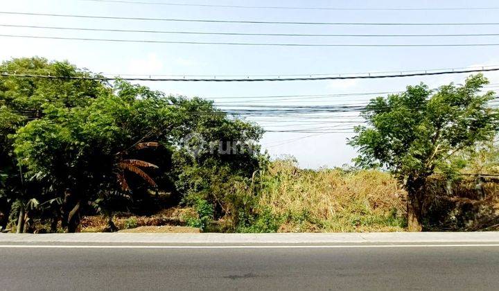 Tanah Super Murah Nol Jl Raya Provinsi Sby Mlg Pandaan Cocok Utk Usaha Pabrik Gudang 2