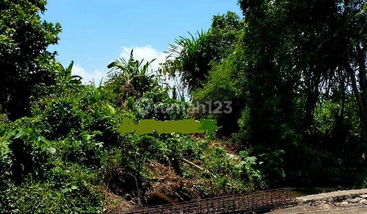 Tanah Murah Cocok Untuk Villa Dg Jalan Lebar 5 Meter Di Tumbak Bayuh Pererenan Bali  2