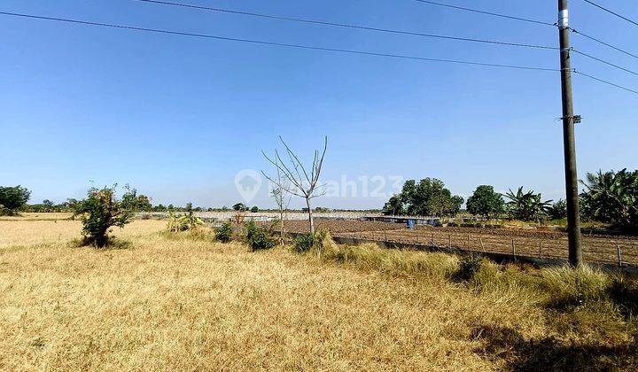 Tanah Super Murah Jl Raya Balongpanggang Cocok Utk Pabrik Gudang 2