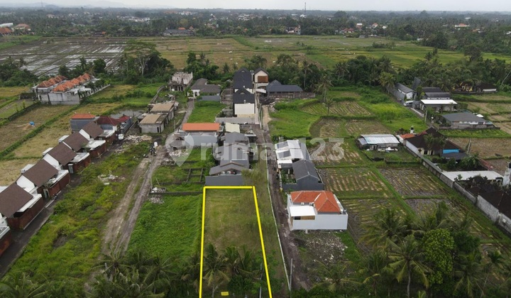 Tanah Kavling Villa Murah Siap Bangun di Lodtunduh Ubud Bali Tanah Kavling Villa Murah Siap Bangun di Lodtunduh Ubud Bali