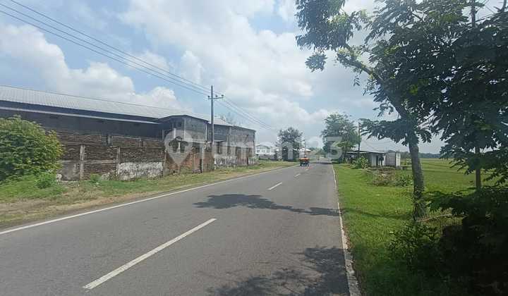 Affordable SHM Land Bonus Warehouse Raya Lengkong Nganjuk Near Toll Road