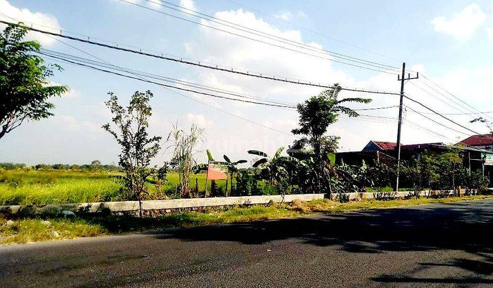 Tanah Super Murah Nol Jalan Raya Benjeng Cocok Untuk Ruko Usaha Dan Gudang 1