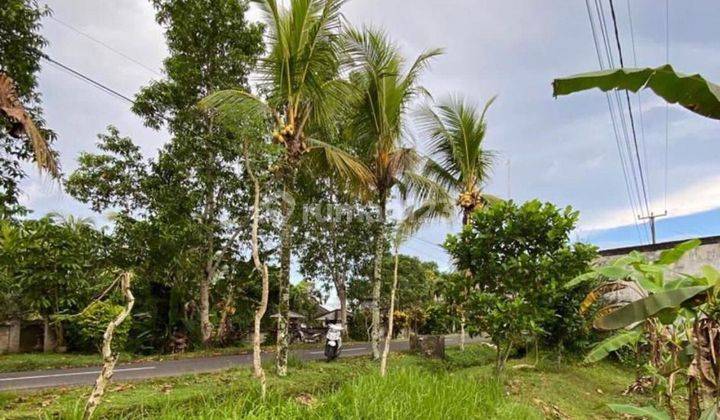 Barang Langka Tanah Murah Di Megati Tabanan. Akses Jln Utama 8 Meter Cocok Utk Gudang Atau Villa Strategis Dwkat Jln Raya Menuju Dsnpasar  1