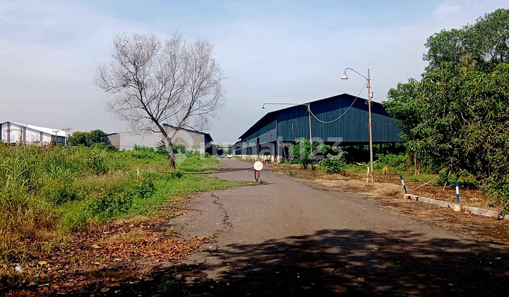 Cheap Warehouse, Good Building, Driyorejo Gresik, Near Toll Road Cheap Warehouse, Good Building, Driyorejo Gresik, Near Toll Road