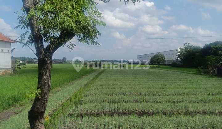 Tanah Nol Jl Raya Provinsi Dekat Tol Kota Nganjuk Cocok Utk Pabrik atau Gudang