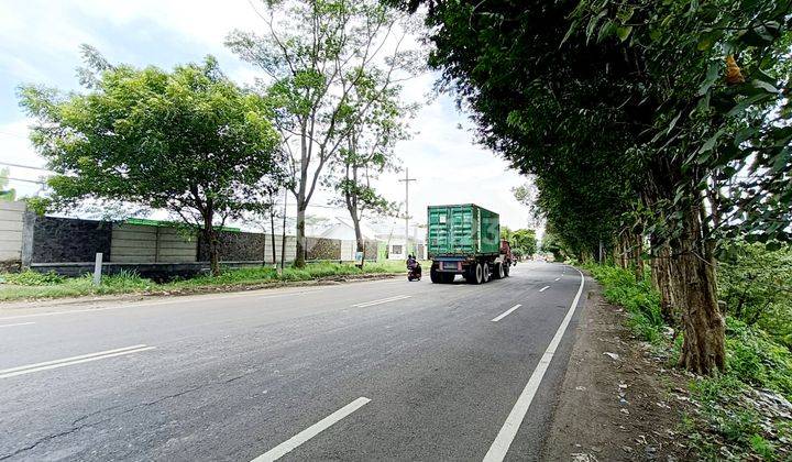 Tanah Murah Raya Krian Akses Kontainer Sudah Urug Dan Full Pagar Cocok Untuk Gudang, Parkir Dan Tempat Usaha 2