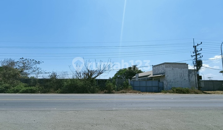 Tanah Murah Siap Pakai Full Pagar Jln Raya Manyar Gresik Dekat Pelabuhan Jiipe Dan Tol Tanah Murah Siap Pakai Full Pagar Jln Raya Manyar Gresik Dekat Pelabuhan Jiipe Dan Tol