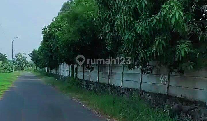 Tanah Murah Ex Pabrik Bata Ringan Balongbendo Dekat Bypass Krian 2