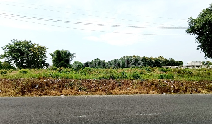 Stok Tanah Komersial Murah Daerah Ramai Jalan Raya Bungah Dekat Pelabuhan Manyar Gresik Cocok Utk Usaha Dan Gudang