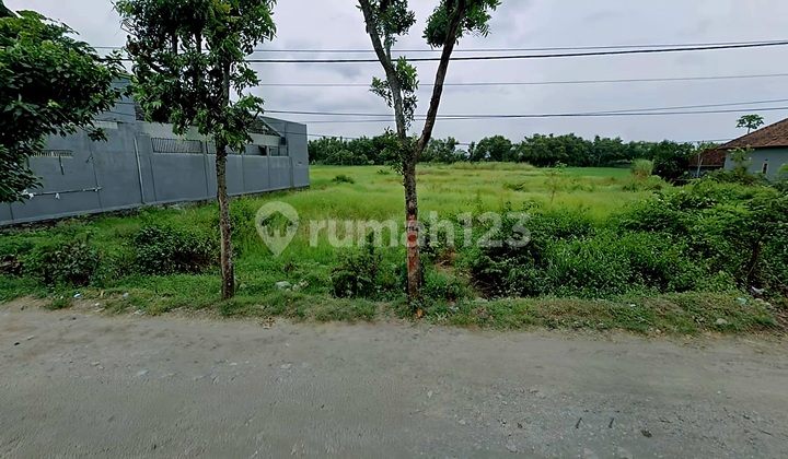 Tanah Industri Murah Lingkungan Pabrik Jln Raya Provinsi Kabuh Jombang Tanah Industri Murah Lingkungan Pabrik Jln Raya Provinsi Kabuh Jombang