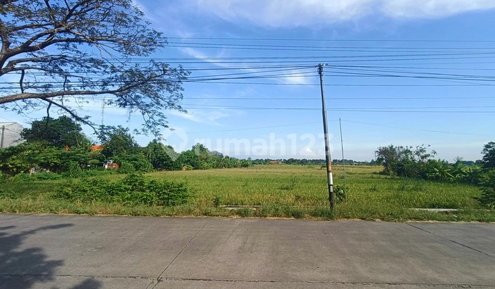 Commercial Area Cheap Land on Main Road Near Balongpanggang Market, Suitable for Shophouses and Warehouses.