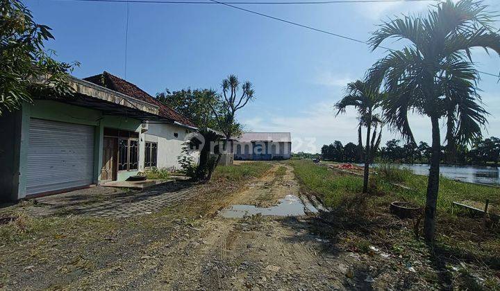 Gudang Murah Jl Raya Benjeng Gresik Strategis Dekat Tol Dan Sby  1