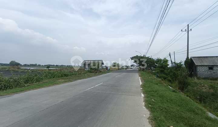 Guaranteed Cheapest Industrial Land in Manyar Gresik, Main Road, Near Jiipe Port